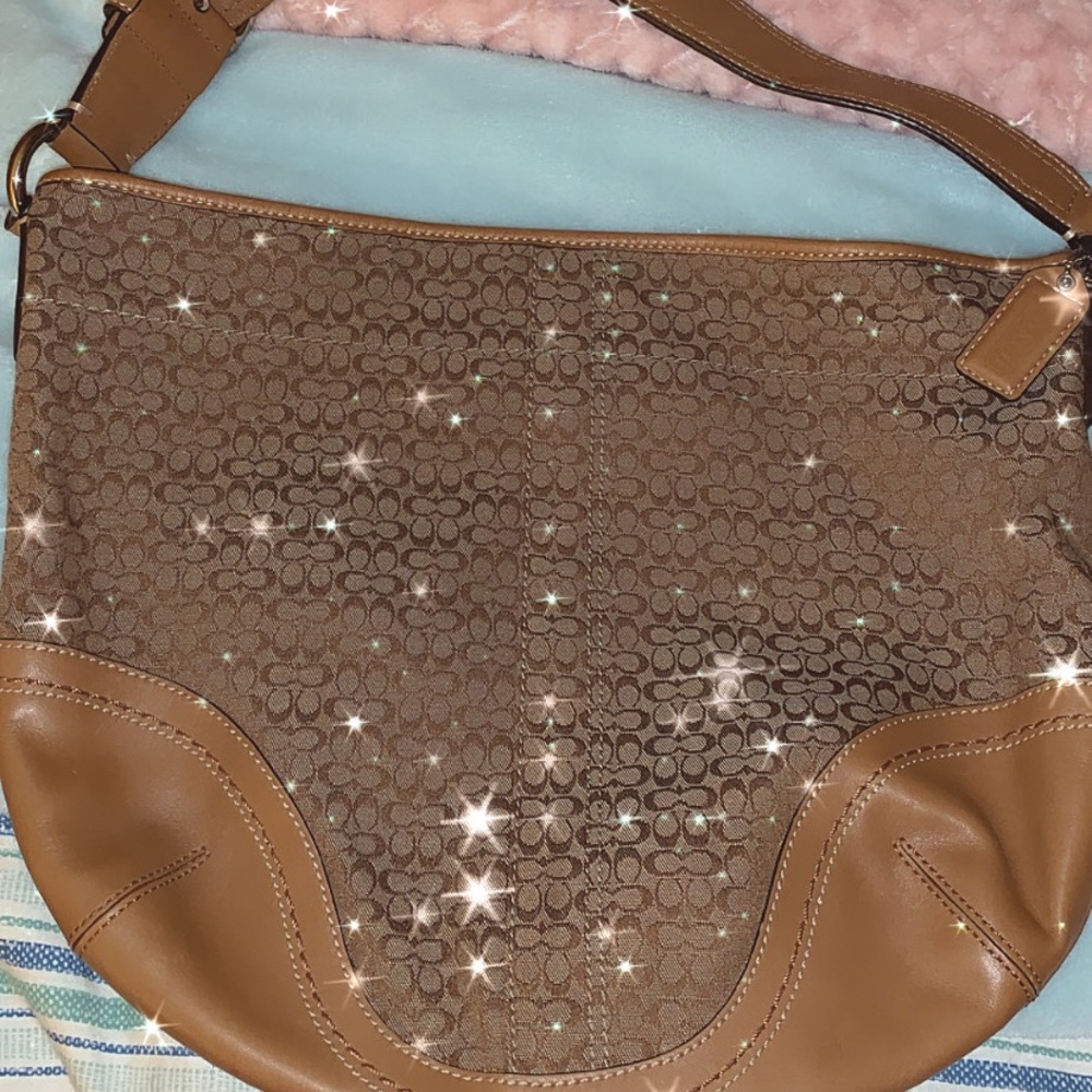 Brown Coach purse